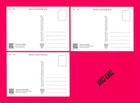 Kyrgyzstan 2025 Fauna Insects Spiders Mi Kep 259-261 3 Maxicards Maximum Cards