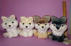 Amuse Amufun Fox Wolf Mofuto Mofutto Muffuto Japan Plush Stuffed Animal Lot