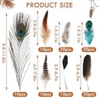  100 Pcs Natural Pheasant Feathers  7 Styles Bulk Feathers Peacock Feathers 