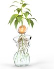 Elegant Female Silhouette Glass Vase By Hmc For Plant Propagation And Clear 