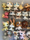 Littlest Pet Shop Lps Dogs  Cats  First 100  And More  Main 5 Collies   51-100