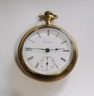 1901 Elgin Pocket Watch 15j-18s-model 5-218-philly Gold-filled Case-lion-runs