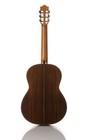 Cordoba C10 Sp in Acoustic Nylon String Classical Guitar