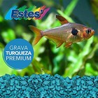 Special Turquoise Aquarium Gravel For Freshwater Aquariums  5-pound Bag 