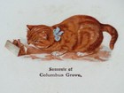 Antique Dresden China Souvenir Of Columbus Grove Cat Watching Mouse Trap Plate