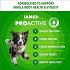 Iams Proactive Health Minichunks Adult Dry Dog Food With Real Chicken  30 Lb