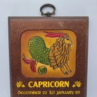 Vintage Capricorn Zodiac Astrology Wooden Sign Wall Art Plaque 1970s