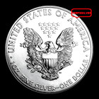 2013  American Silver Eagle  1  Oz   Pure Fine Silver 999  Bullion Coin   Bu-unc