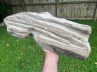 Texas Petrified Wood 20  Natural Weathered Flat Log Idea Aquascape Decor Fossil