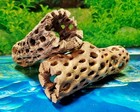 2 Pcs Of 6  Inch Teddy Bear Cholla Wood Cactus   Aquarium  Terrarium Cave Tunnel
