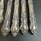 Meadow Rose By Wallace  Sterling Flatware  19 Pieces