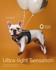 Fayogoo Service Dog Vest Small Dogs Esa Harness Leash Patches