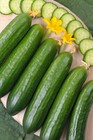 50  Marketer Cucumber Seeds Non-gmo Fresh Your Garden