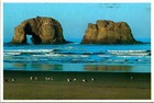 Vintage Postcard Continental Twin Rocks Oregon Or Coast Pacific Ocean Sea Gulls