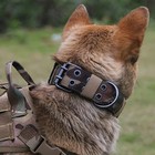 Wide Tactical Heavy Duty Nylon Large Dog Collar K9 Military With Metal Buckle