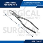 10 Pcs Extracting Forceps  150   151 Dental Instruments Stainless German Grade