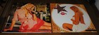 Anna Nicole Smith Vintage 1995 And 1996 16 Month Calendars  Never Used
