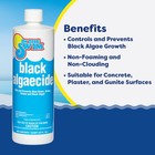 In The Swim Black Algaecide     Eradicates Black Algae In Swimming Pools - Copper