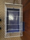 31  Rabbit Cage  rb80 In Blue Or Green
