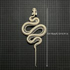 Real Snake Skeleton Specimen  Real Animal Bone Taxidermy Craft Decor Collection