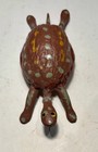 Vintage Folk Art Turtle 3 1 4  Long Walnut Shell Excellent Original Condition