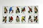 Pane Of 20 Songbirds Stamps First Class For Holidays Celebration Scott  4882-91
