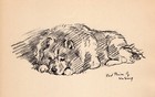 1937 Lucy Dawson Chow Chow Print Vintage Chow Illustration Wall Art Decor 5086y