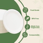 1000ct 6  Biodegradable Sugarcane Bagasse Disposable Round Plates Klex