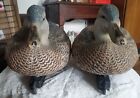 Avery Greenhead Gear Ghg Pro Grade Early Season Green Winged Blue Duck Decoys