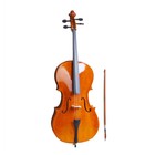 4 4 Wood Cello Bag Bow Rosin Bridge Natural  old Code 50824597 
