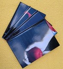 The Twilight Journals  twilight Saga  Journal     Box Set