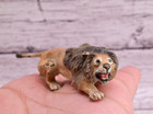 Stunning Antique Austrian Vienna Cold Painted Bronze Of Lion Ready To Attack