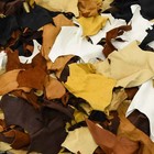 Deerskin Leather Scrap 1 Lb Small Pieces 3-5oz Deer Hide Remnants