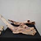 Driftwood Diy Woodworking Critter Collection 