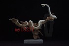 Real Complete Snake Skeleton Taxidermy Specimen On Natural Driftwood Base Gift