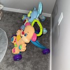 Baby First Steps Walker