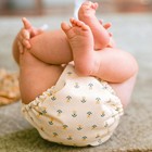 Cloth Diaper Bundle Size Of 4 Waterproof Organic Cotton Esembly Absorbent