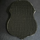 Dept Veterans Affairs Police Officer Subdue Back Hook Patch