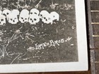 Lomen Brothers Photo Skulls Lined Up In A Field A Bunch Of Sour Doughs Postcard