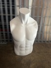 Adult Men s Headless Torso Mannequin Display Form  White Matte Plastic
