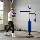 Boxing Bag Freestanding Punching Bag With Reflex Bar  Speed Balls  Blue