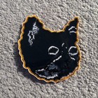 Tyler  The Creator  promo Only  Tron Cat Patch From Camp Flog Gnaw 2025 Rare Oop