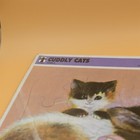 Vintage 1960s Cuddly Cats Kittens Frame Tray Kids Puzzle  rainbow Works  1968 