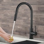 Kitchen Single Handle Sink Faucet Pull Down Sprayer Matte Black Sink Mixer Tap