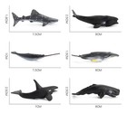 6pcs Sperm Whale Shark Animal Figure Toy Pvc Doll Small Figurine Birthday Gifts