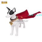 Anime Superman Superdog Cape Krypto Cosplay Cloak Dog Pet Clothing Halloween Set
