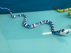 Vintage Toy Rubber Snake Lot Of 5 Fake Scare Prank Props Art Project Cobra Reg