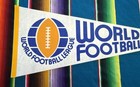 Vintage Rare 1975 World Football League White Football Pennant