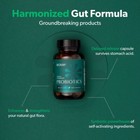 Bioma Probiotics For Digestive Health 3 In 1 Gut Health Probiotics prebiotics Us