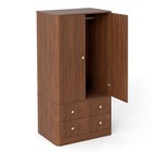 Clothing Wardrobe 2 Doors 2 Drawers Elegant Wooden Freestanding Storage Cabinet